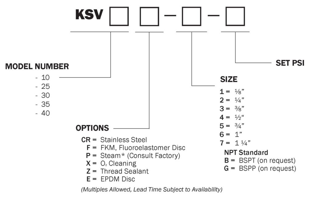 Kingston KSV Specification Sheet Ordering Information Chart Codes